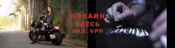 ПСИЛОЦИБИНОВЫЕ ГРИБЫ Баксан