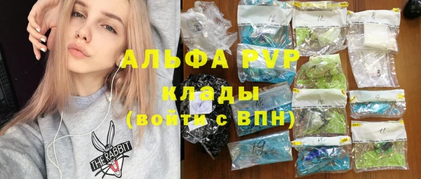 ПСИЛОЦИБИНОВЫЕ ГРИБЫ Баксан