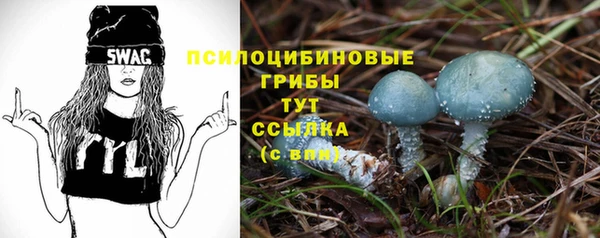 ПСИЛОЦИБИНОВЫЕ ГРИБЫ Баксан